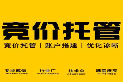 推广竞价实战经验：成功案例分享与启示